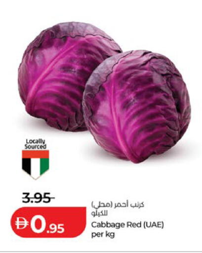 Cabbage available at لولو هايبرماركت in الإمارات العربية المتحدة , الامارات - ٱلْعَيْن‎