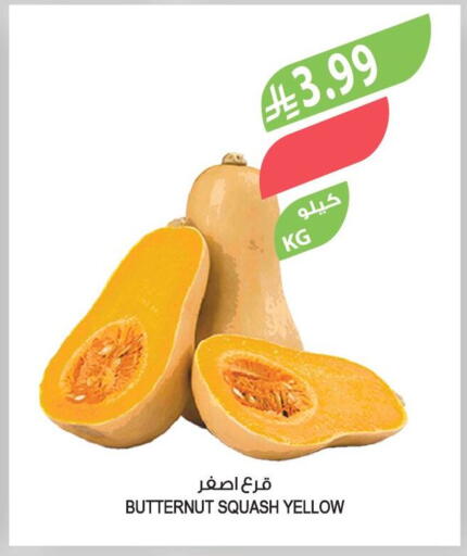 Squash available at Farm  in KSA, Saudi Arabia, Saudi - Najran