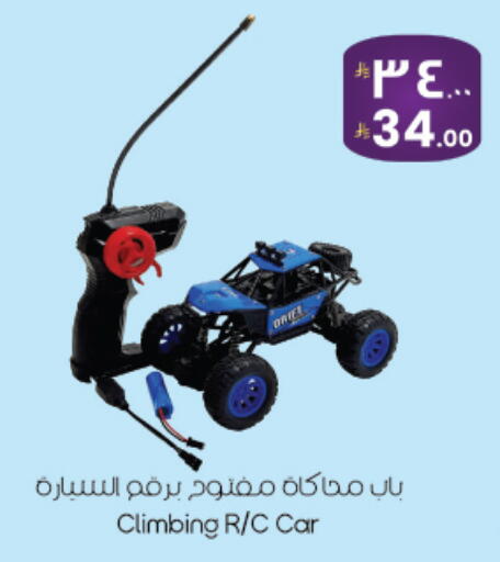 available at ستي فلاور in مملكة العربية السعودية, السعودية, سعودية - نجران