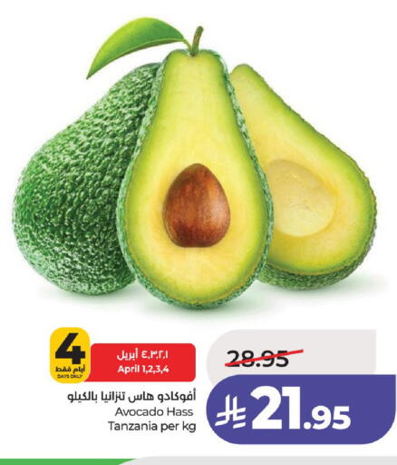 Avocado from Tanzania available at LULU Hypermarket in KSA, Saudi Arabia, Saudi - Unayzah