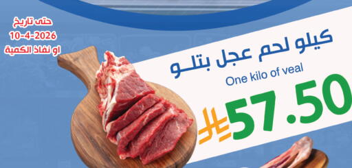 available at متاجر أبياتي in مملكة العربية السعودية, السعودية, سعودية - المدينة المنورة