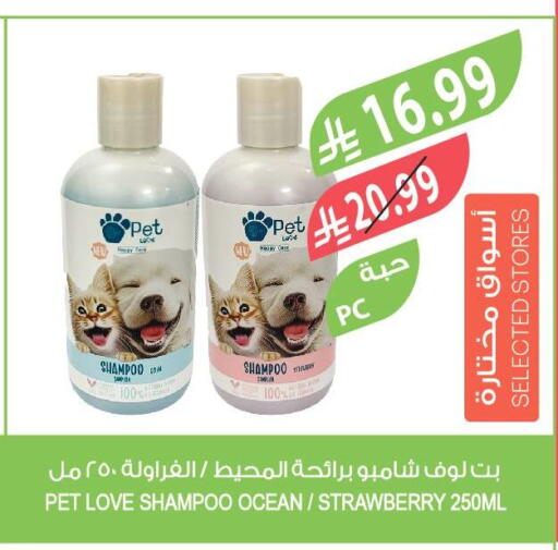 Strawberry available at Farm  in KSA, Saudi Arabia, Saudi - Arar