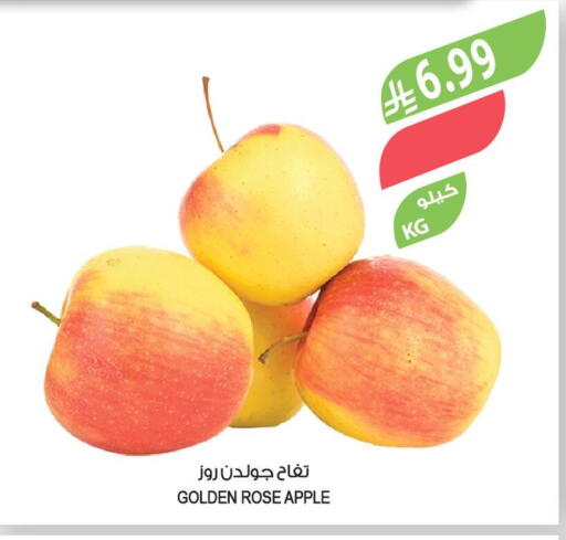 Apple available at Farm  in KSA, Saudi Arabia, Saudi - Jazan