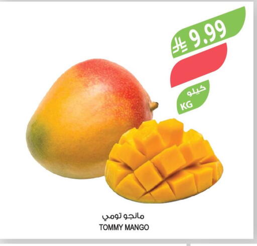 Mango available at Farm  in KSA, Saudi Arabia, Saudi - Jazan