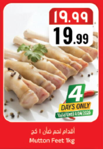 available at City Flower in KSA, Saudi Arabia, Saudi - Riyadh