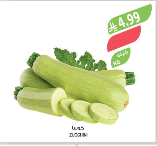 Zucchini available at Farm  in KSA, Saudi Arabia, Saudi - Najran