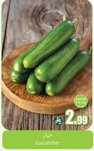 Cucumber available at Othaim Markets in KSA, Saudi Arabia, Saudi - Az Zulfi