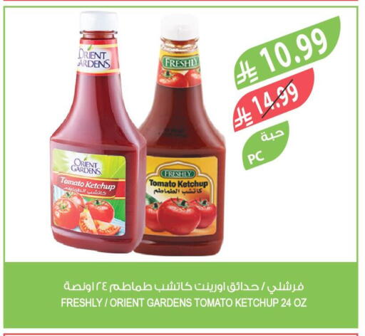 Tomato available at المزرعة in مملكة العربية السعودية, السعودية, سعودية - ينبع