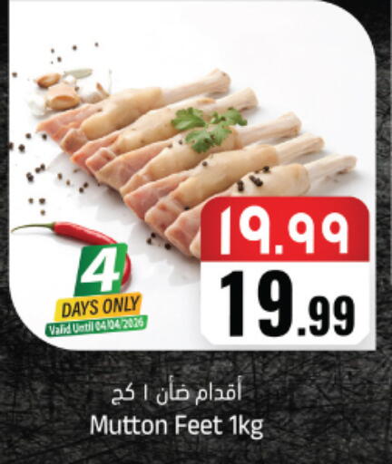 available at ستي فلاور in مملكة العربية السعودية, السعودية, سعودية - نجران
