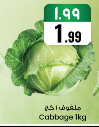 Cabbage available at City Flower in KSA, Saudi Arabia, Saudi - Najran