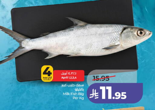 available at لولو هايبرماركت in مملكة العربية السعودية, السعودية, سعودية - حائل‎