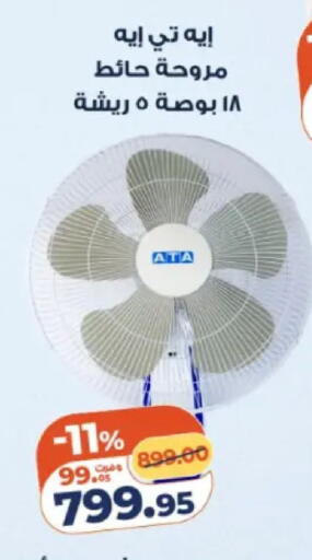 available at كازيون in Egypt - القاهرة