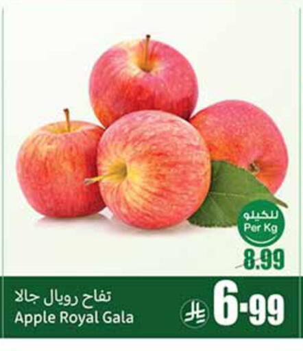 Apple available at Othaim Markets in KSA, Saudi Arabia, Saudi - Khafji