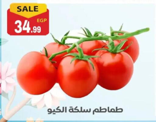available at أولاد المحاوى in Egypt - القاهرة