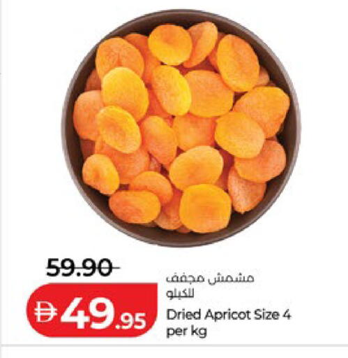 Apricot available at لولو هايبرماركت in الإمارات العربية المتحدة , الامارات - ٱلْعَيْن‎