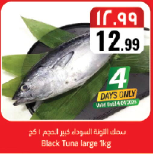 available at ستي فلاور in مملكة العربية السعودية, السعودية, سعودية - سكاكا