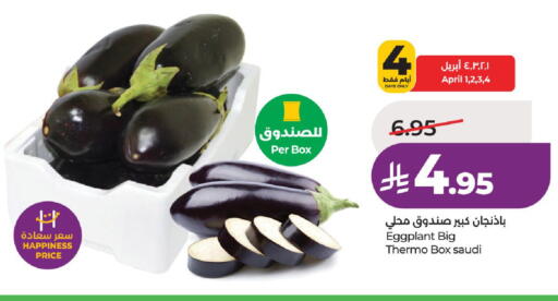 Eggplant from Saudi Arabia available at لولو هايبرماركت in مملكة العربية السعودية, السعودية, سعودية - حائل‎