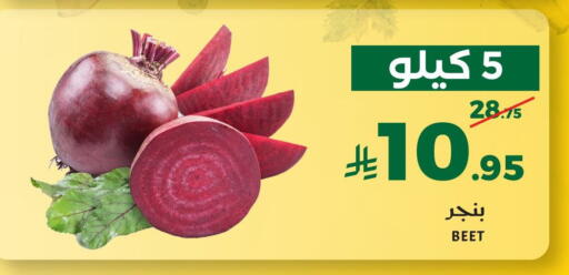 available at Mira Mart Mall in KSA, Saudi Arabia, Saudi - Jeddah