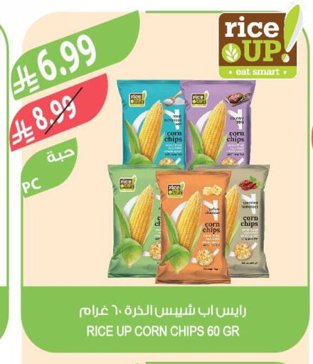 Tomato available at Farm  in KSA, Saudi Arabia, Saudi - Arar