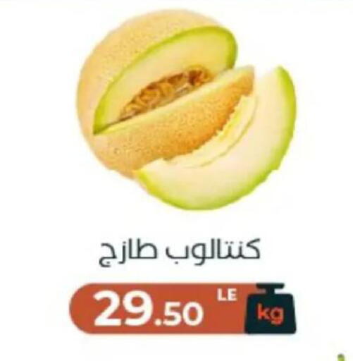 available at عرفة ماركت in Egypt - القاهرة