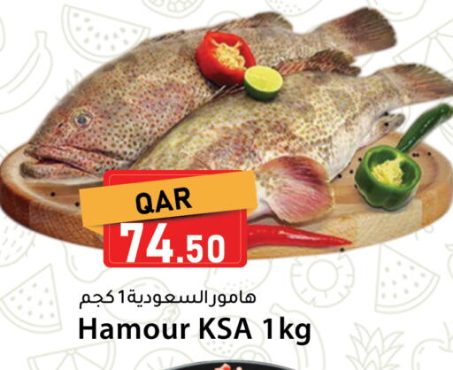 available at دانا ماركت in قطر - الدوحة