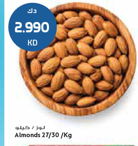 available at جراند كوستو in الكويت - محافظة الأحمدي