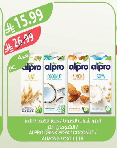 Coconut available at المزرعة in مملكة العربية السعودية, السعودية, سعودية - عرعر