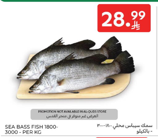 available at كارفور in مملكة العربية السعودية, السعودية, سعودية - المدينة المنورة