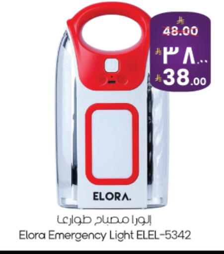 available at City Flower in KSA, Saudi Arabia, Saudi - Najran