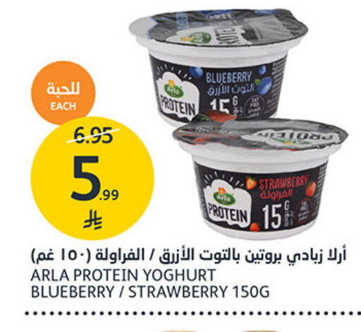 Blueberry BlueBerry Strawberry available at مركز الجزيرة للتسوق in مملكة العربية السعودية, السعودية, سعودية - الرياض
