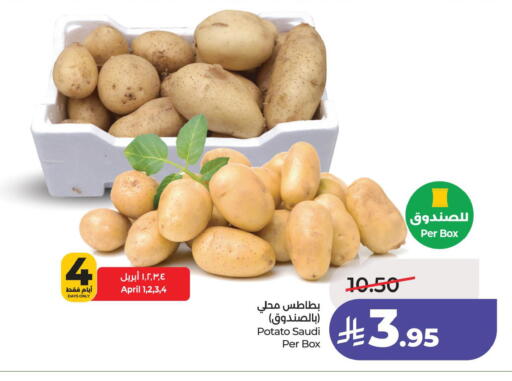 Potato from Saudi Arabia available at LULU Hypermarket in KSA, Saudi Arabia, Saudi - Jubail