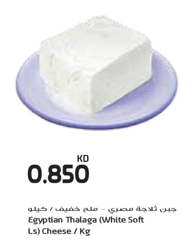 available at جراند كوستو in الكويت - مدينة الكويت