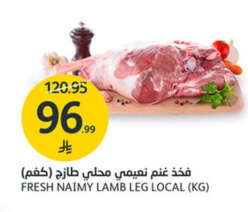 available at مركز الجزيرة للتسوق in مملكة العربية السعودية, السعودية, سعودية - الرياض