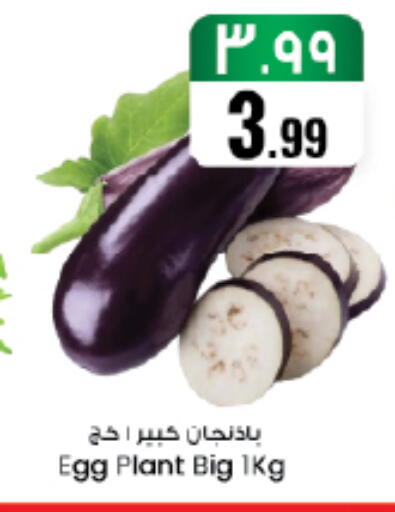 available at ستي فلاور in مملكة العربية السعودية, السعودية, سعودية - سكاكا
