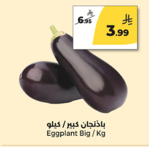 Eggplant available at  دانة طازج يوميا in مملكة العربية السعودية, السعودية, سعودية - الرياض
