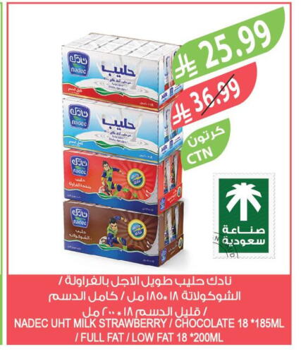 Strawberry available at المزرعة in مملكة العربية السعودية, السعودية, سعودية - ينبع