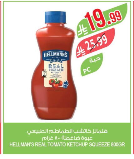 Tomato available at Farm  in KSA, Saudi Arabia, Saudi - Najran