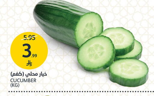 Cucumber available at مركز الجزيرة للتسوق in مملكة العربية السعودية, السعودية, سعودية - الرياض