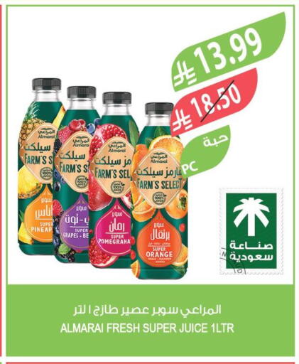 Grapes Orange available at Farm  in KSA, Saudi Arabia, Saudi - Jubail