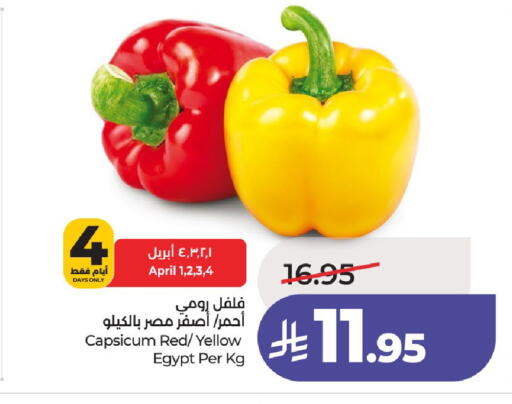 Capsicum from Egypt available at لولو هايبرماركت in مملكة العربية السعودية, السعودية, سعودية - حائل‎