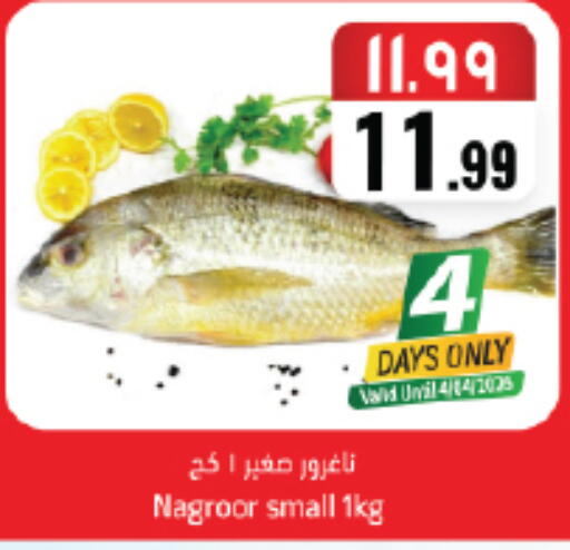 available at ستي فلاور in مملكة العربية السعودية, السعودية, سعودية - الجبيل‎