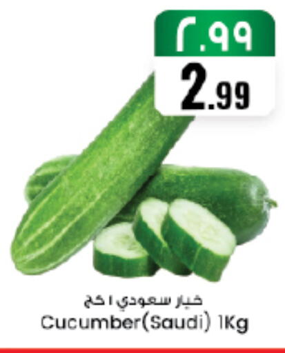 Cucumber from Saudi Arabia available at ستي فلاور in مملكة العربية السعودية, السعودية, سعودية - سكاكا