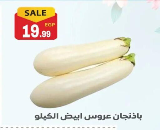 available at أولاد المحاوى in Egypt - القاهرة