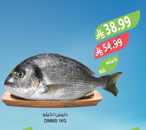 available at المزرعة in مملكة العربية السعودية, السعودية, سعودية - جدة