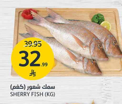 available at مركز الجزيرة للتسوق in مملكة العربية السعودية, السعودية, سعودية - الرياض