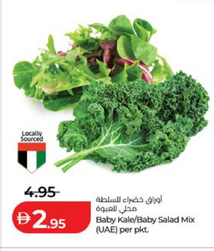 Kale available at لولو هايبرماركت in الإمارات العربية المتحدة , الامارات - ٱلْعَيْن‎
