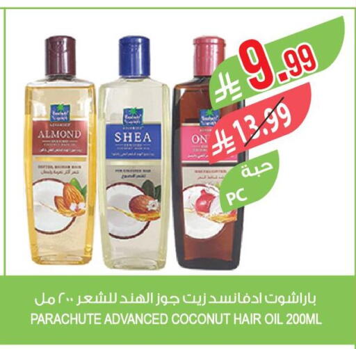 Coconut available at المزرعة in مملكة العربية السعودية, السعودية, سعودية - الرياض