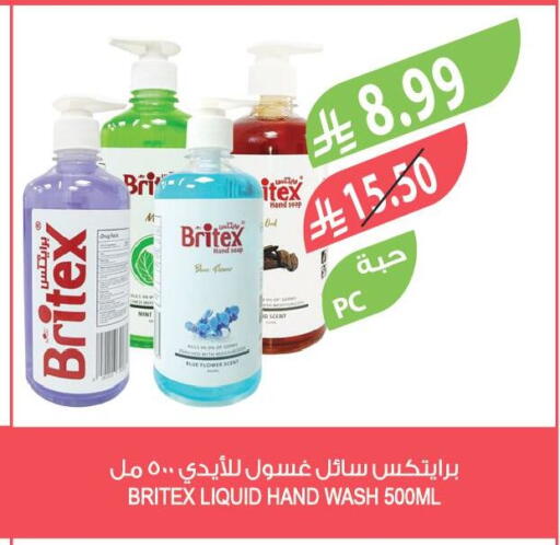 Mint available at Farm  in KSA, Saudi Arabia, Saudi - Al Bahah