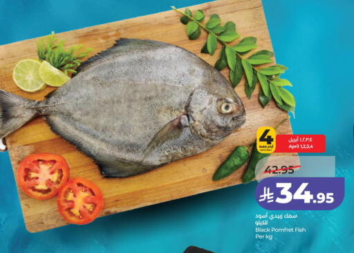 available at لولو هايبرماركت in مملكة العربية السعودية, السعودية, سعودية - الجبيل‎