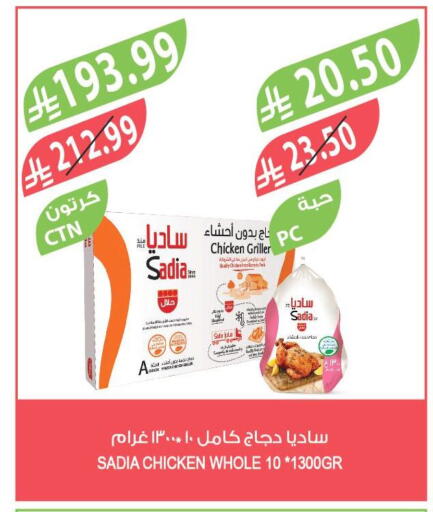 available at المزرعة in مملكة العربية السعودية, السعودية, سعودية - ينبع